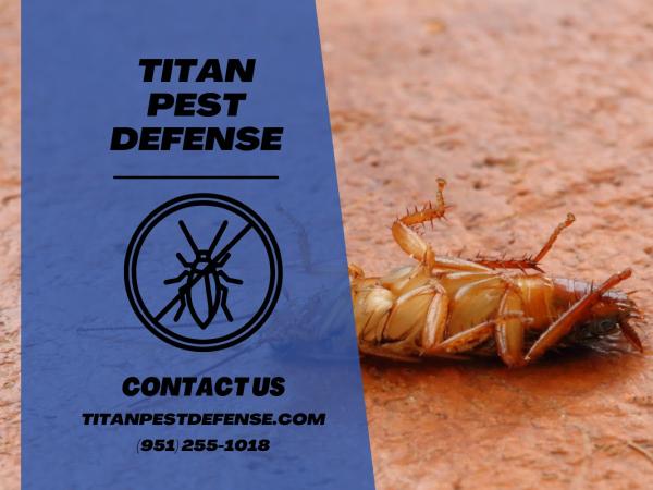 Titan Pest Defense