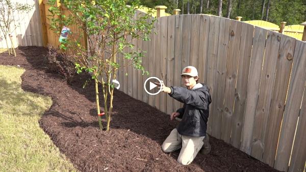 Elite Lawn & Landscape LLC