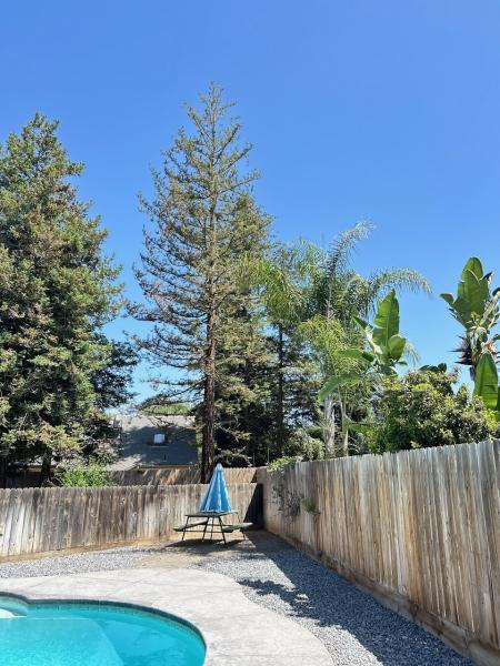 CMS Tree Service
