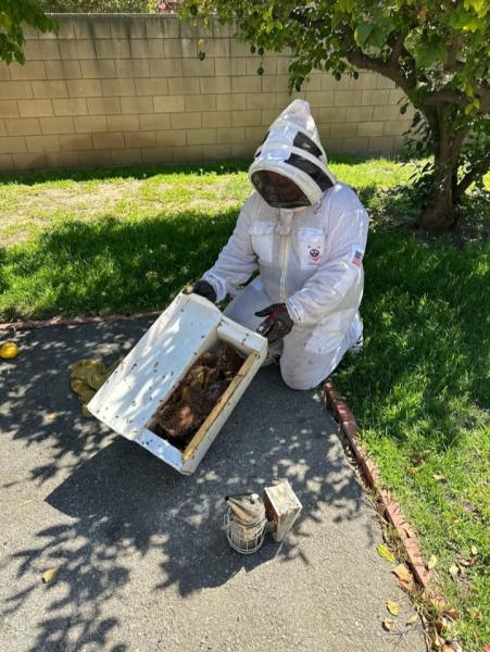 APA BEE Removal