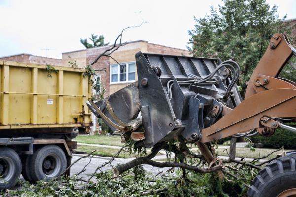 Mike's Tree Service LLC
