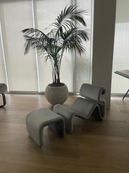 Carlei Interiors