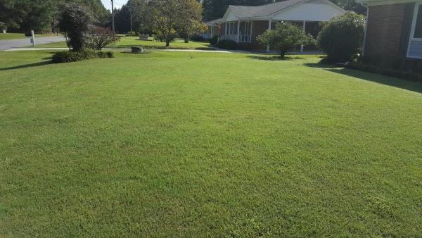 Rightlane Turf Management LLC