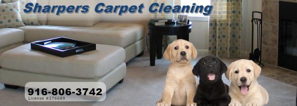 Sharpers Carpet Cleaning