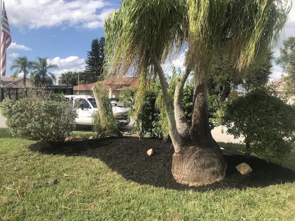 Chris' Complete Lawn Care Rmsk LLC