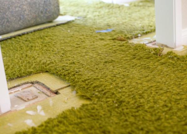 Carpet Masters