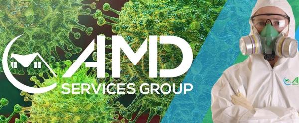 AMD Services Group