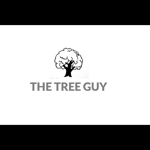 The Tree Guy