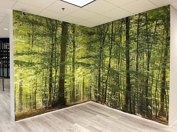 Javier's Decorating Painting & Wallpaper Contractor