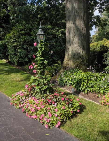 Organic Matters Landscaping