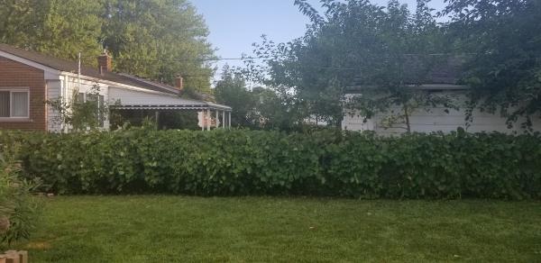 Organic Matters Landscaping