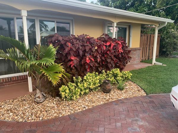 Potter's Lawn & Landscaping