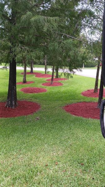 Potter's Lawn & Landscaping