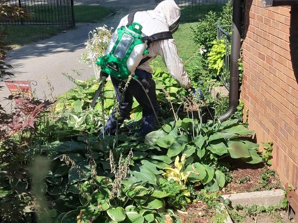 Bee Control