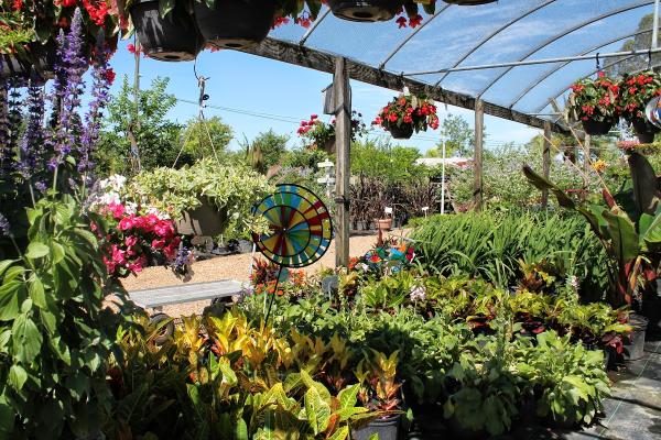 Keep it Green Nursery