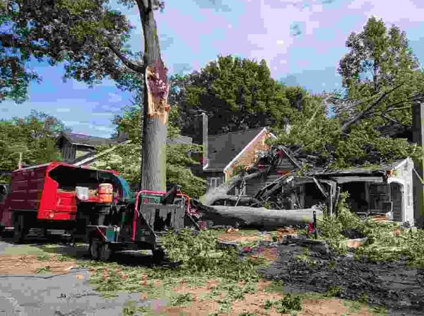 Kelly's Tree Service