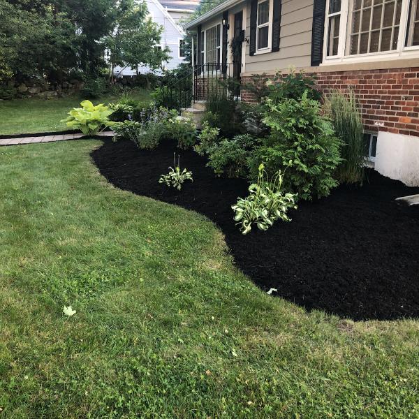 DB Lawn Care & Landscape