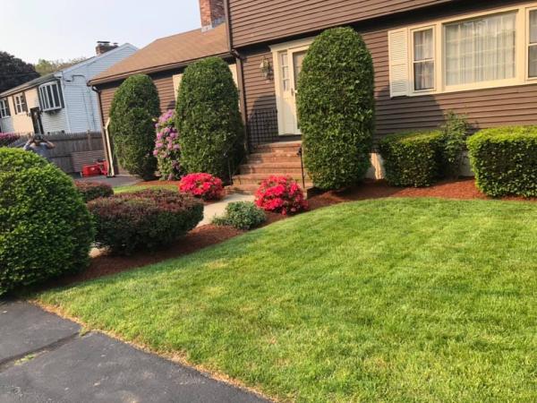DB Lawn Care & Landscape