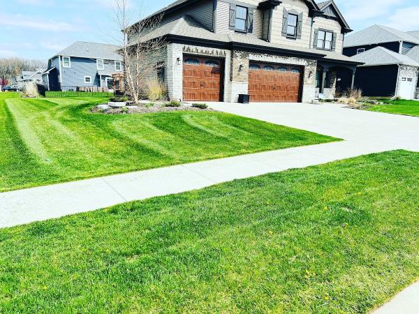 Moss Lawn Improvement Llc