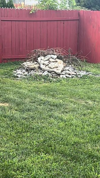 Dumpin' Junk