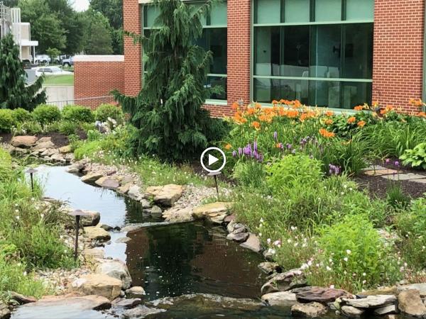 Pond Wiser Inc