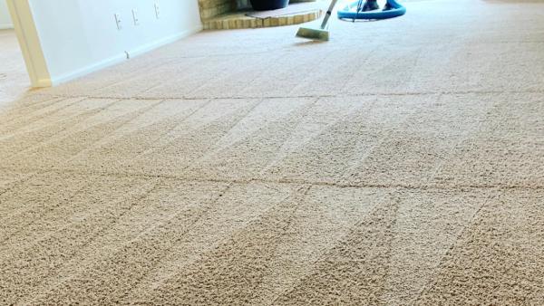 Beyer Carpet Cleaning