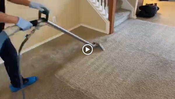 Beyer Carpet Cleaning