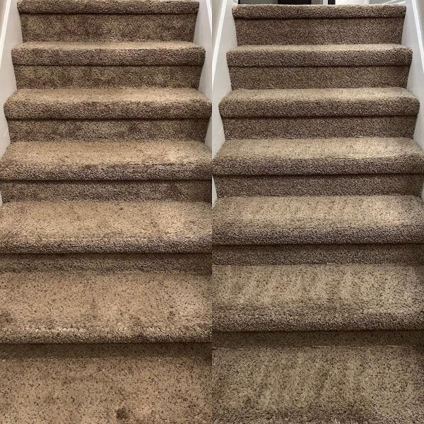 Beyer Carpet Cleaning