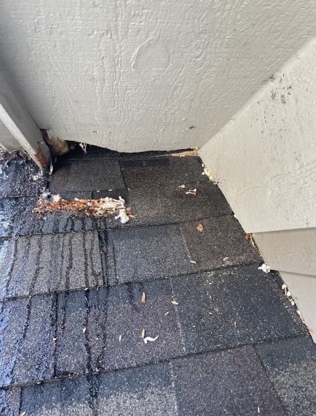 D&K Pest Control