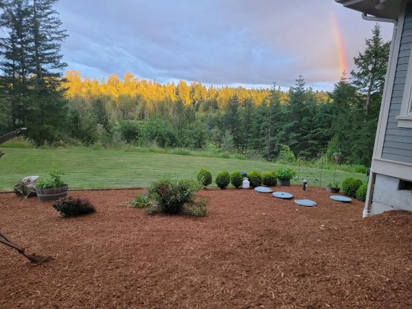 California Landscaping & House Cleaning Services LLC