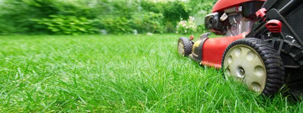 Ryno Lawn Care