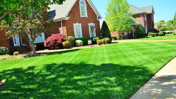Stumpf's Lawn Care