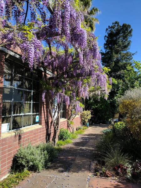 David Thorne Landscape Architect