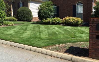 Meadowgreen Inc