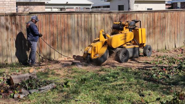 Specialty Tree Care