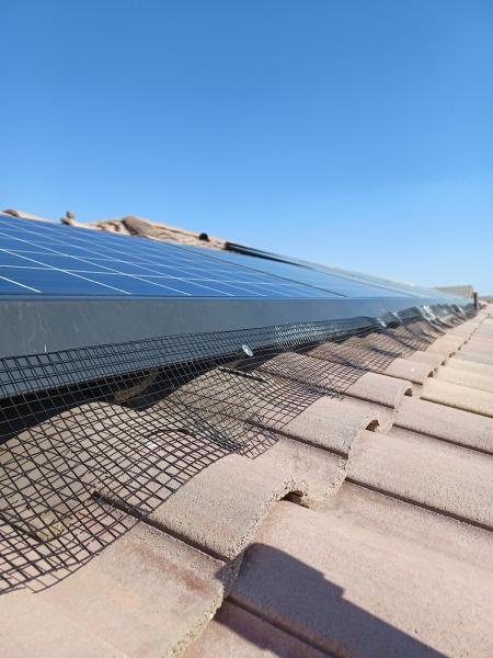 Pigeon Exterior Cleaning Services