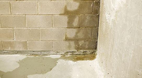Triangle Foundation Repair