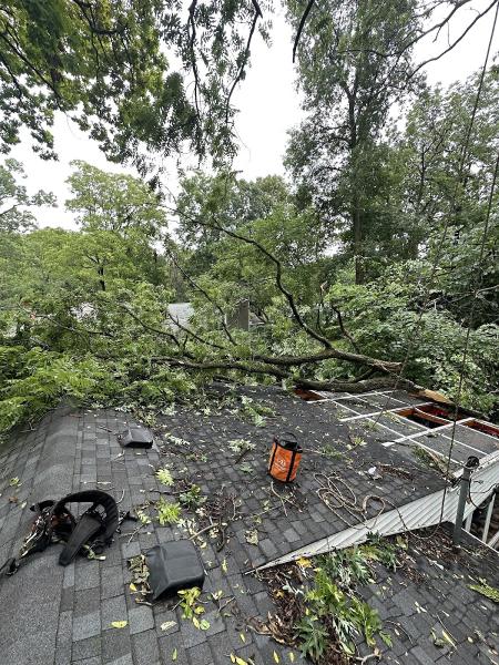 Tree Smith Ann Arbor LLC