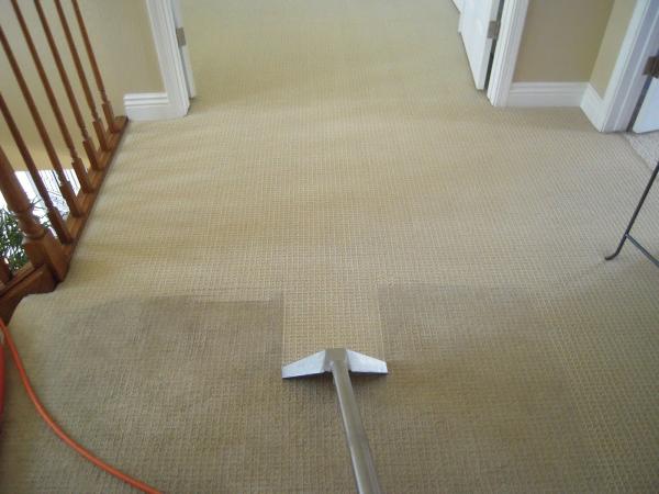 Professional Carpet & Upholstery Cleaners LLC