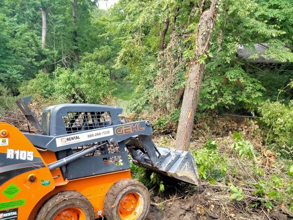 Phillips 4 Seasons Tree Services & Landscaping