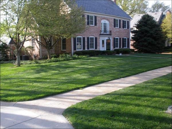Executive Outdoor Living