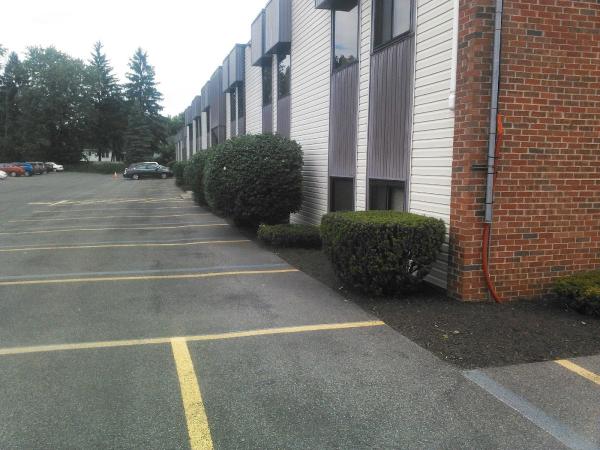 Silverback Groundskeeping
