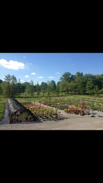 Witman Landscaping and Nursery