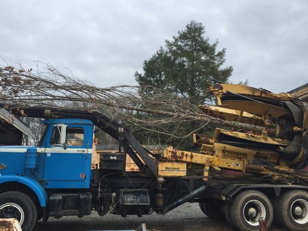 Witman Landscaping and Nursery