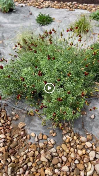 The Magic Beans Landscaping and Snow Removal Maintenance LLC