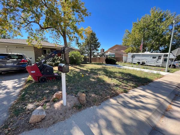 The Magic Beans Landscaping and Snow Removal Maintenance LLC