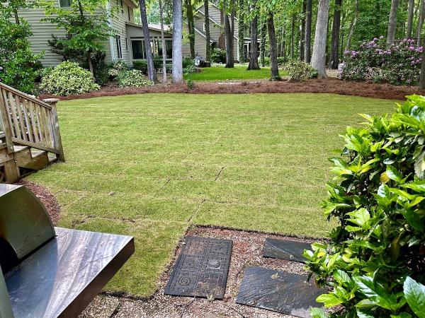 Ponti Landscapes Inc