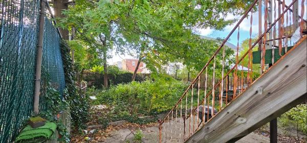 MM Bronx Tree Service