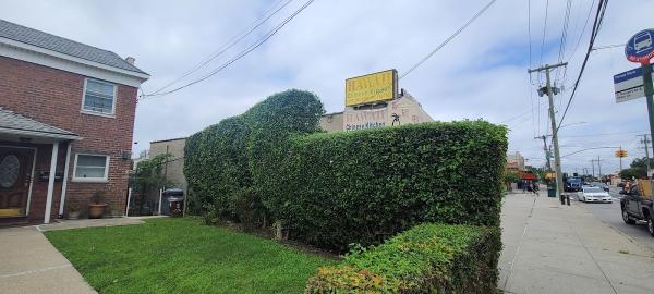 MM Bronx Tree Service