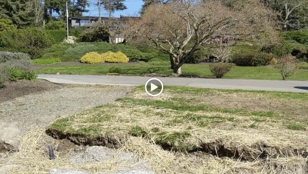 Grounded Landscape Design